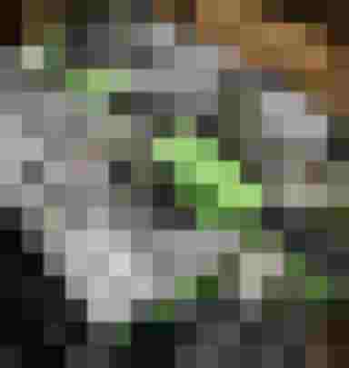 Moderne Skiservice-Maschine in Bad Hofgastein, ideal für professionellen Skiservice.